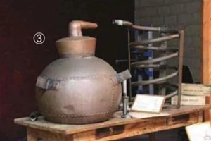 Znalosť Brandy